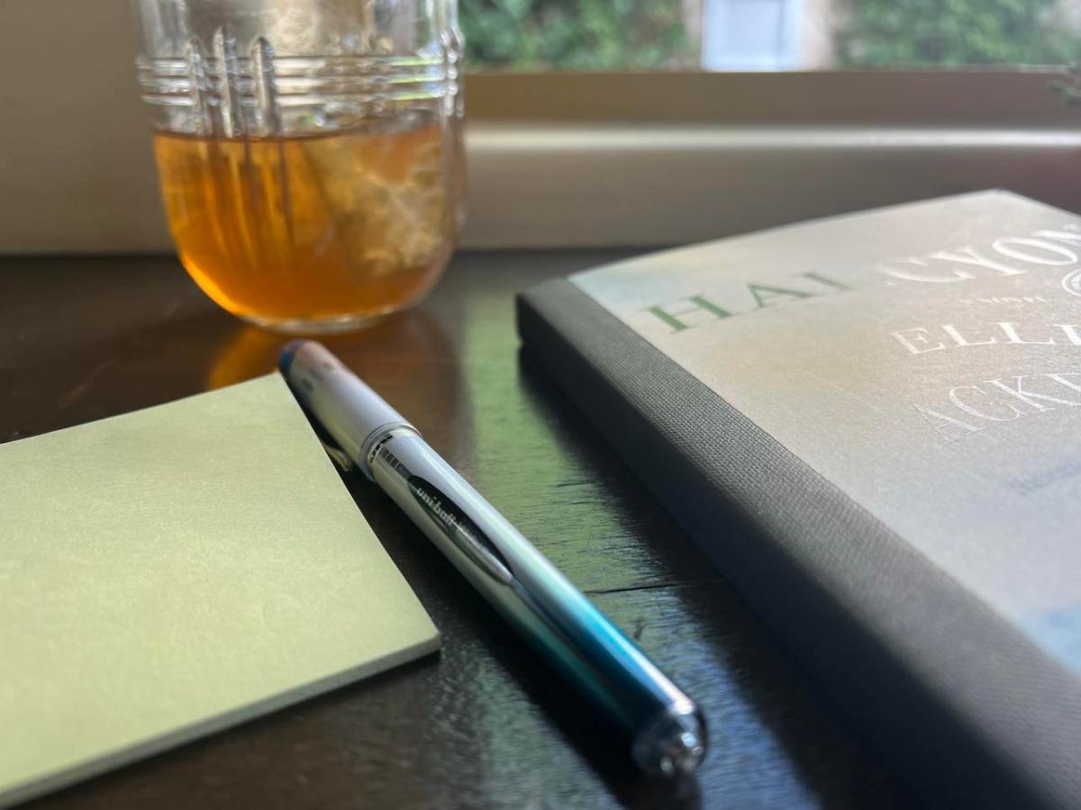 Episode 22 Preview – Halcyon with Elliot&nbsp;Ackerman